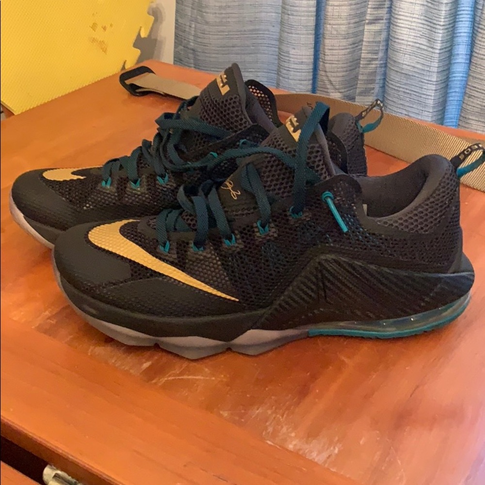 Nike Air Lebron XII 12 SVSM Low